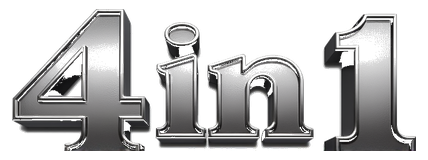 4in1 logo